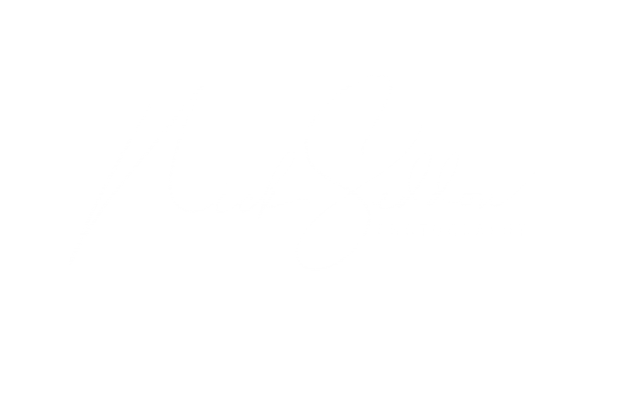 Nick Seddon Photography